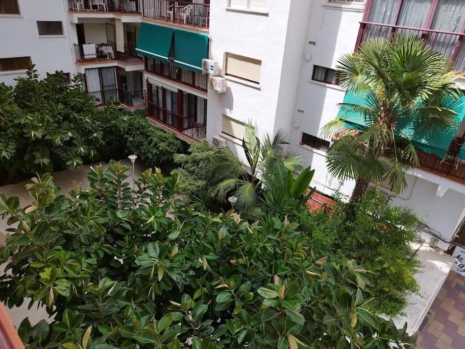 Cullera Mar公寓 外观 照片